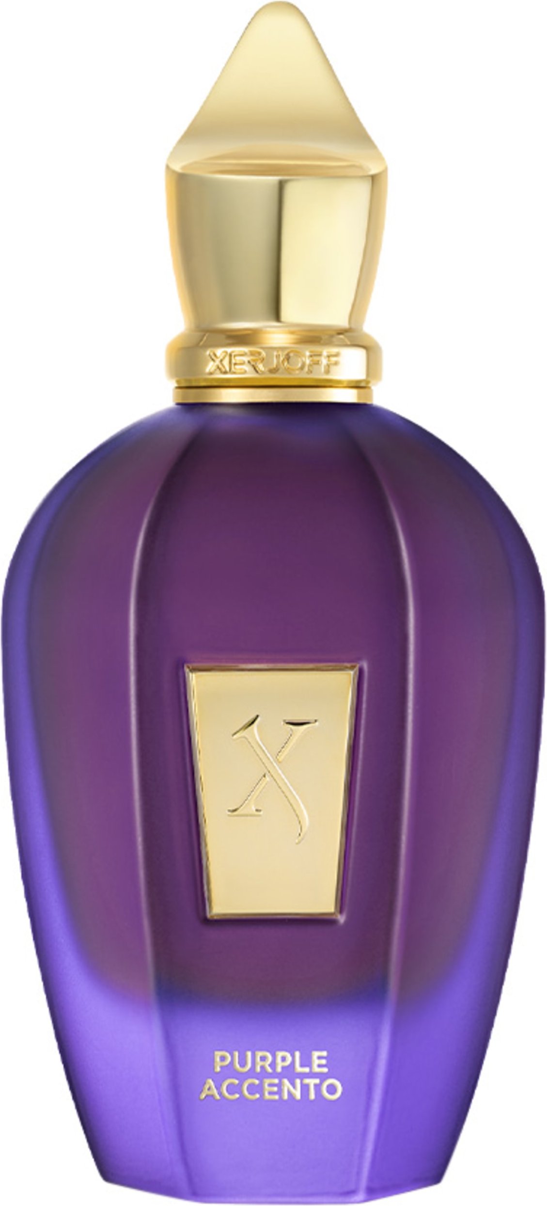 Xerjoff Vibe Purple Accento Eau de Parfum 100 ml