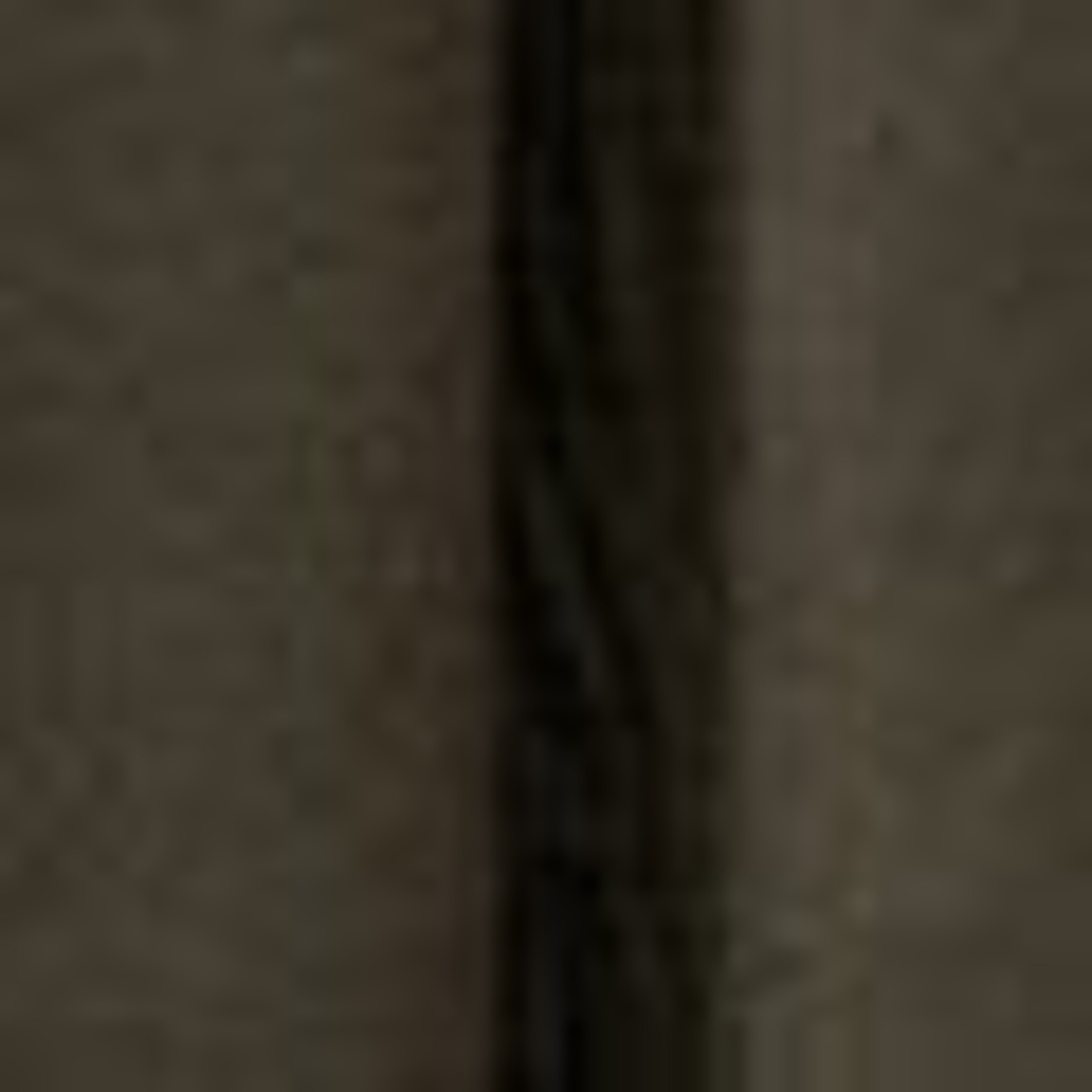 Gerard Darel Rock Bella gruen