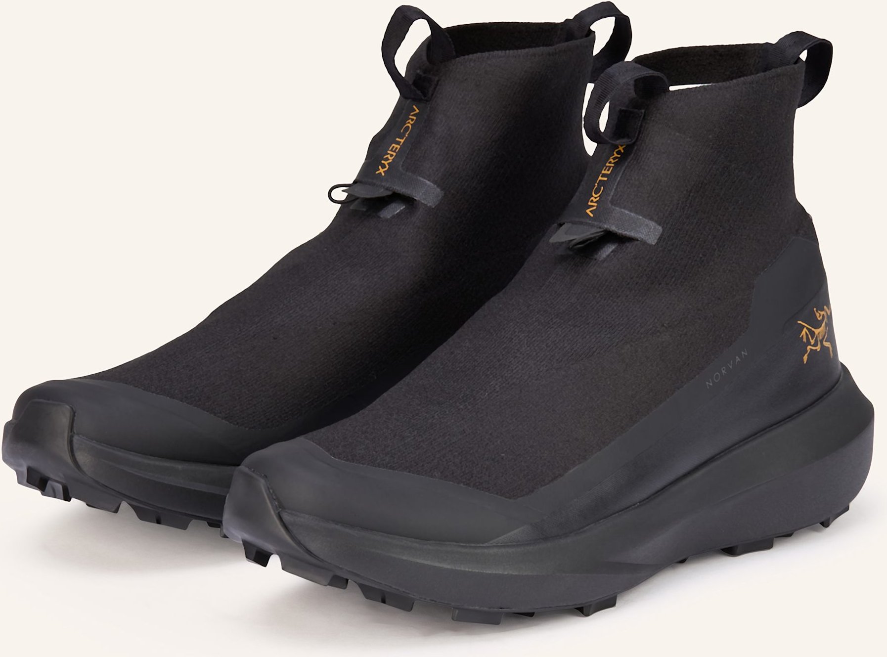 Arc'teryx Trailrunning-Schuhe Norvan 4 Nivalis schwarz