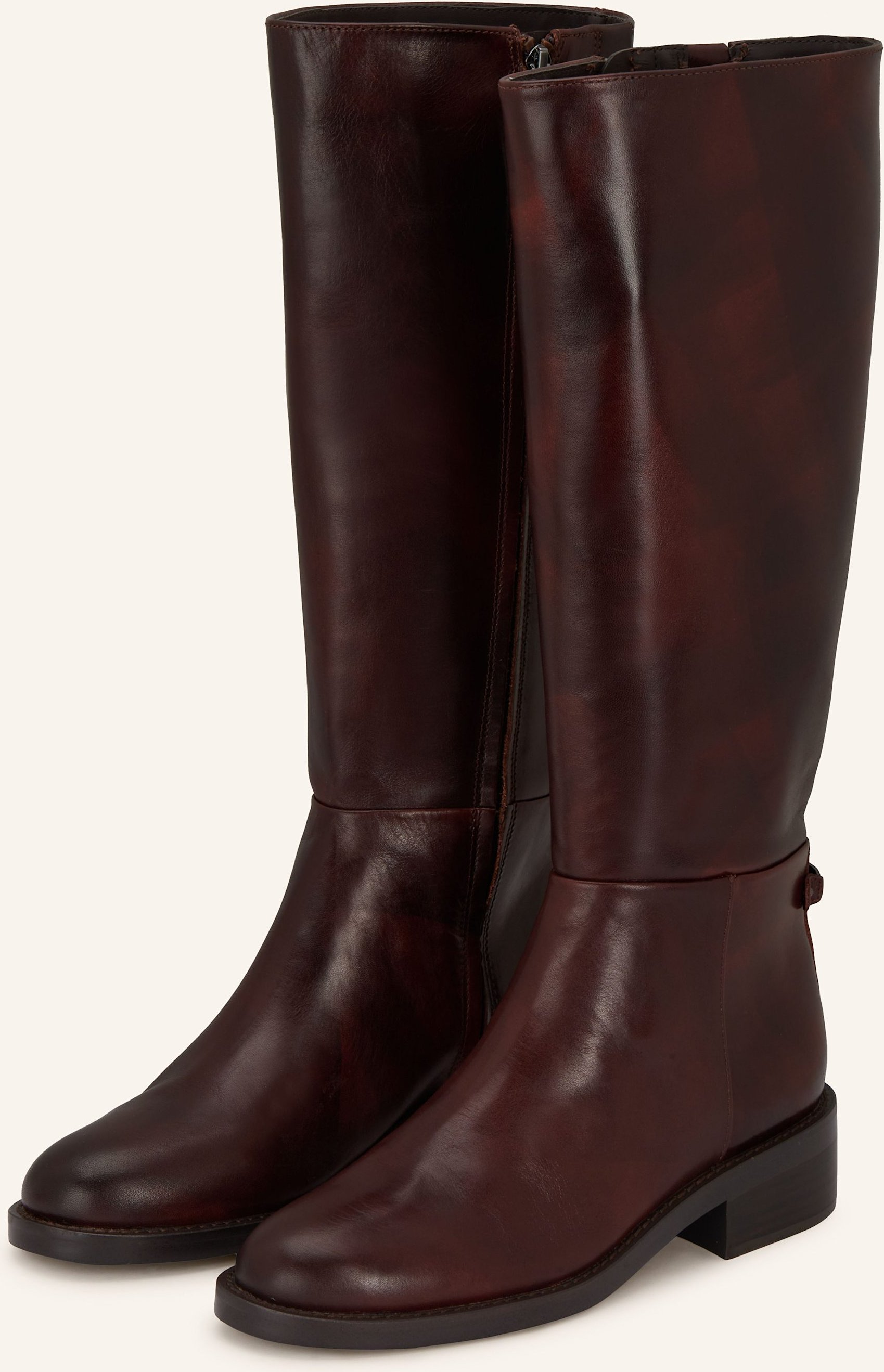 Thumbnail - Sam Edelman Stiefel Milla braun