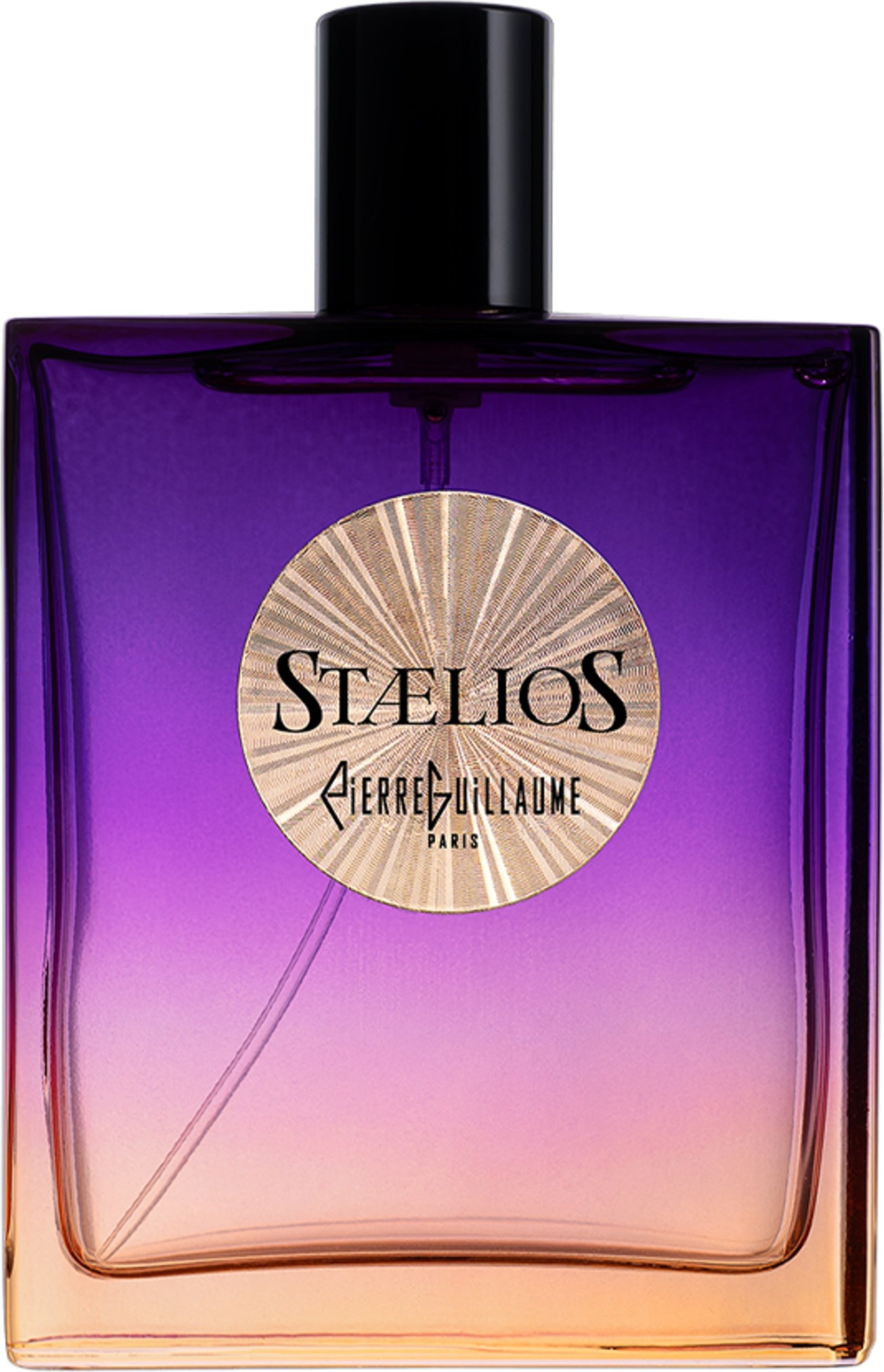 Pierre Guillaume Paris Stælios Eau de Parfum 100 ml