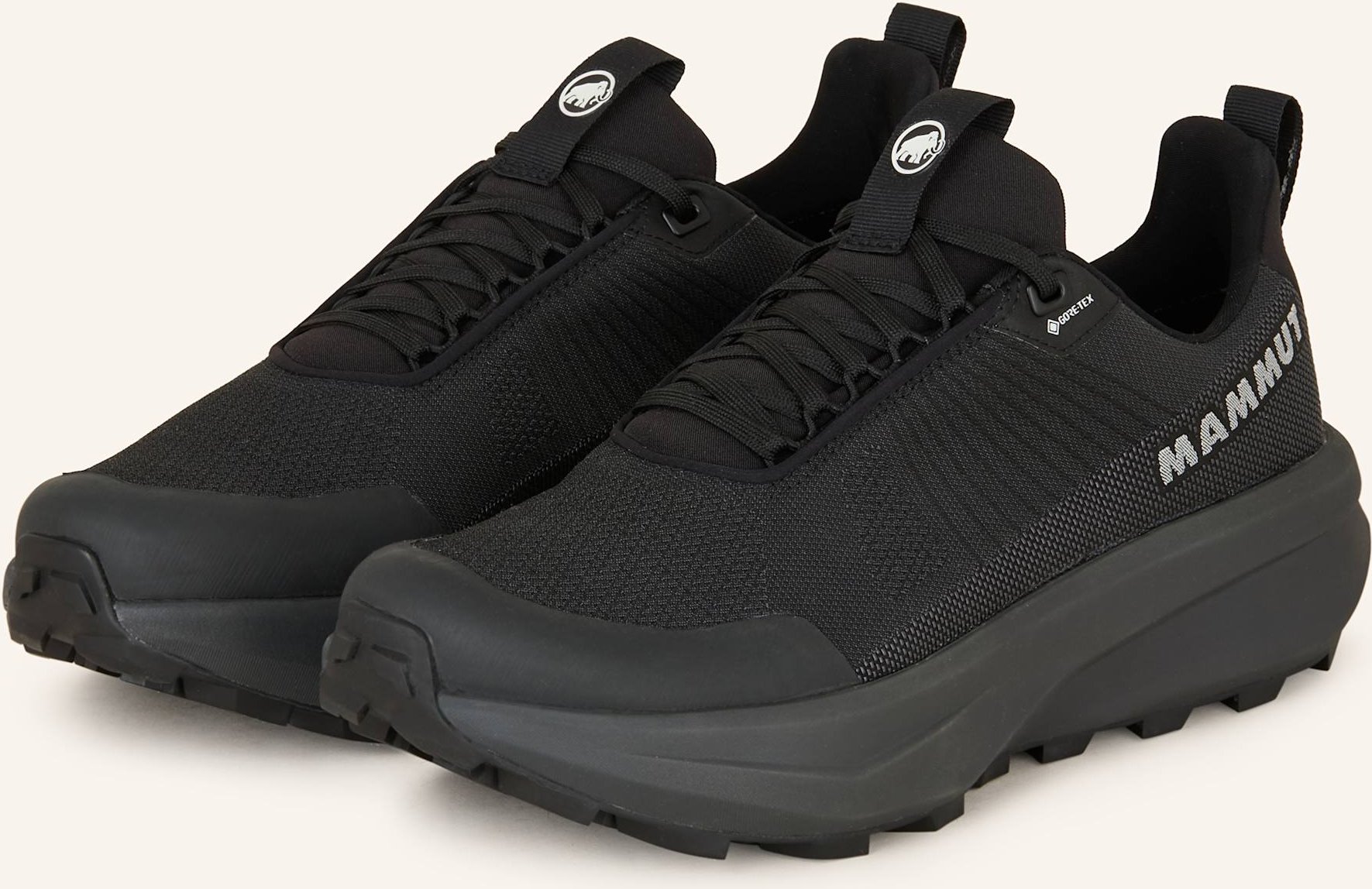 Mammut Wanderschuhe Aenergy Mtn Low Gtx schwarz