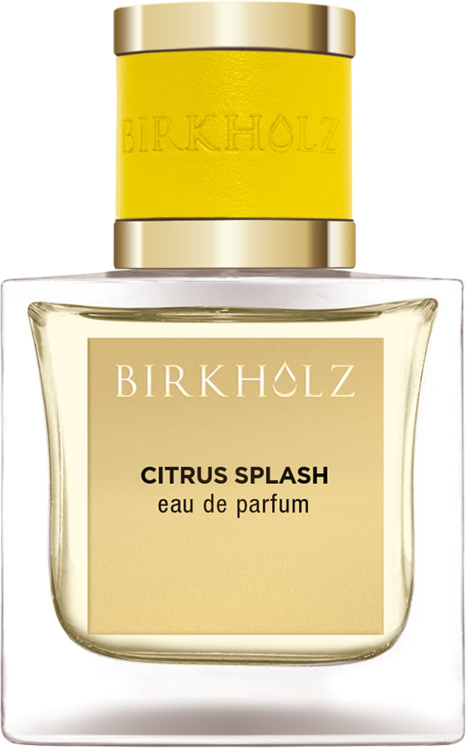Birkholz Citrus Splash Eau de Parfum 100 ml