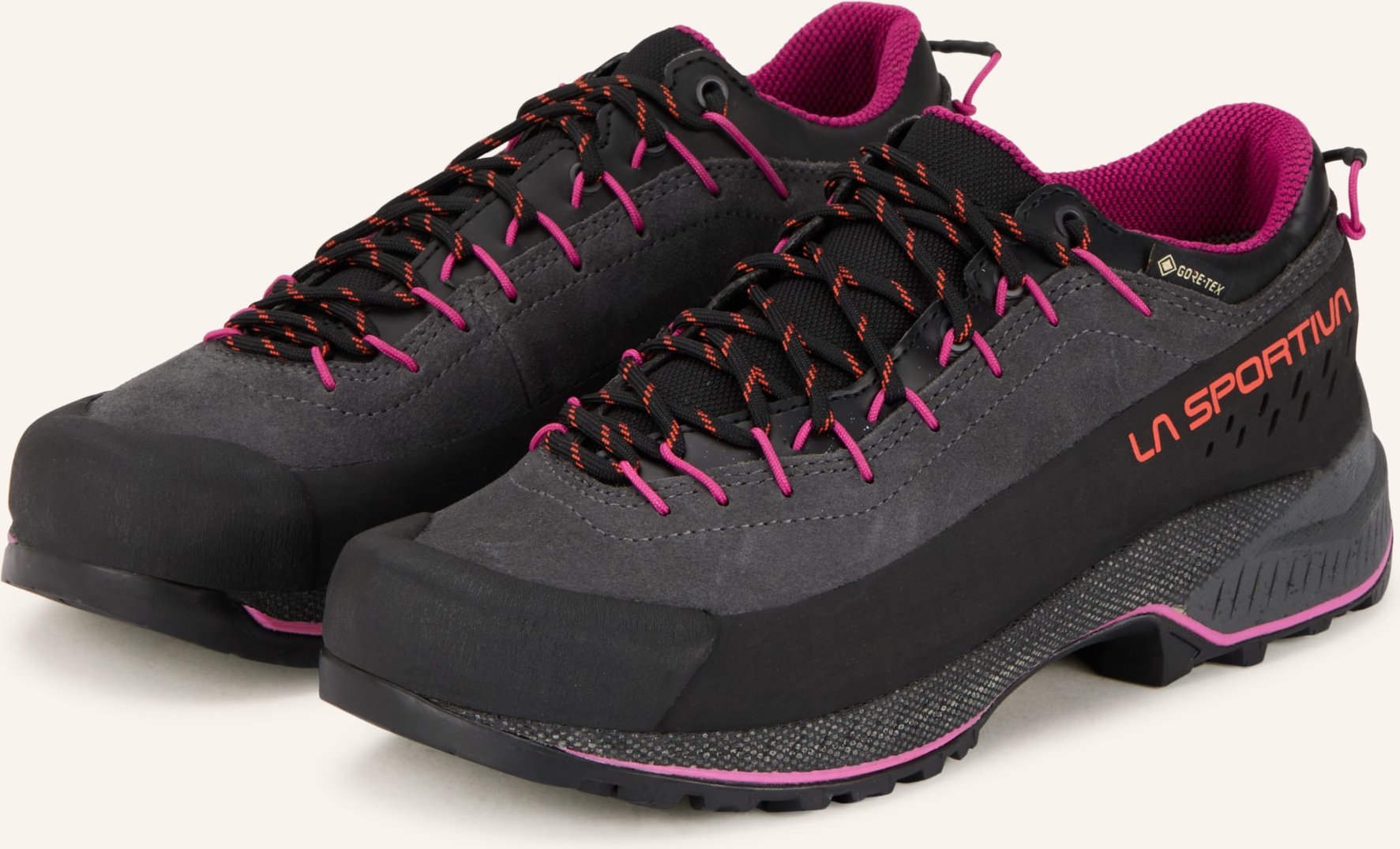 La Sportiva Wanderschuhe tx4 Evo Gtx grau