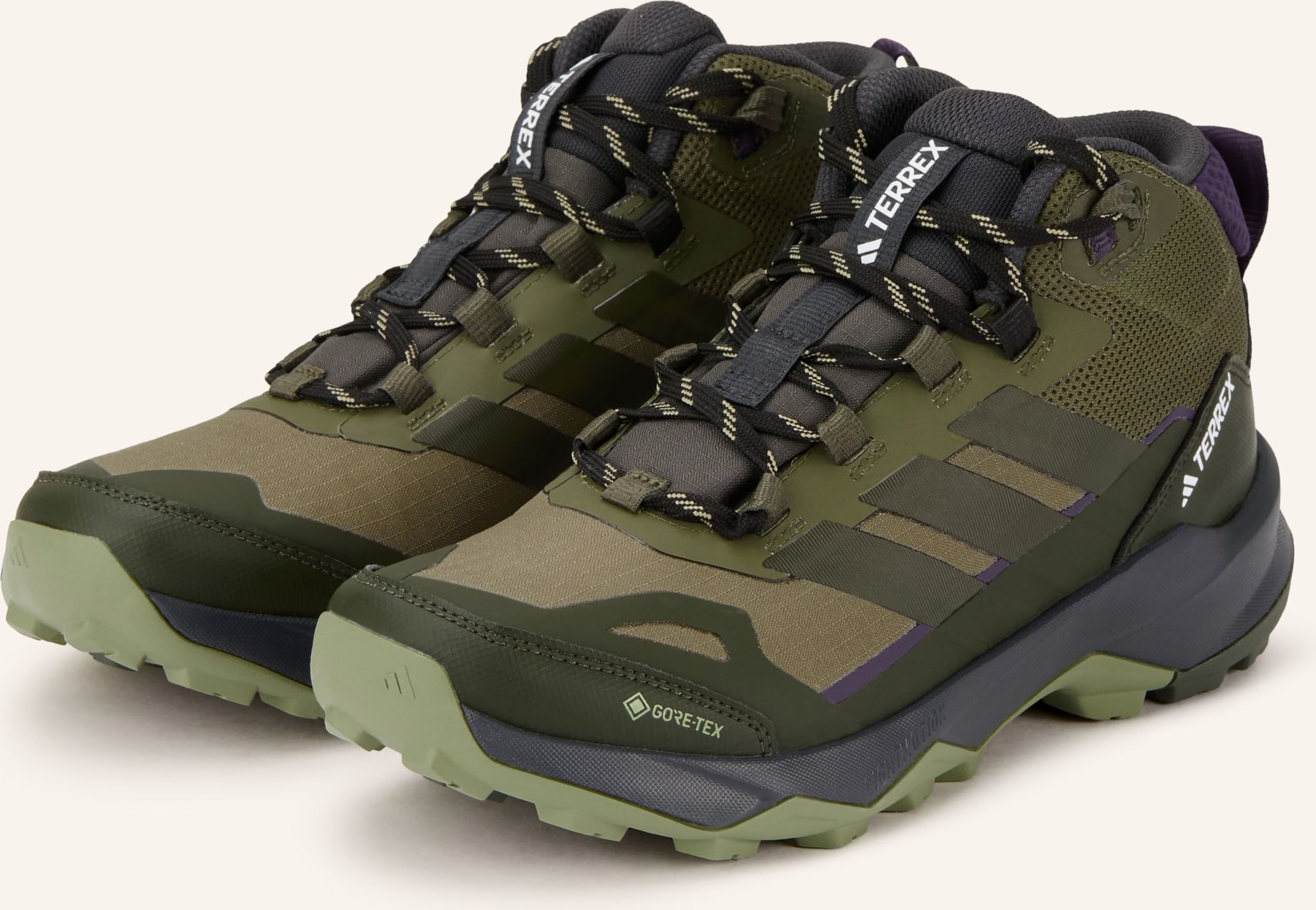 Adidas Terrex Wanderschuhe Terrex Skychaser ax5 Mid Gtx gruen
