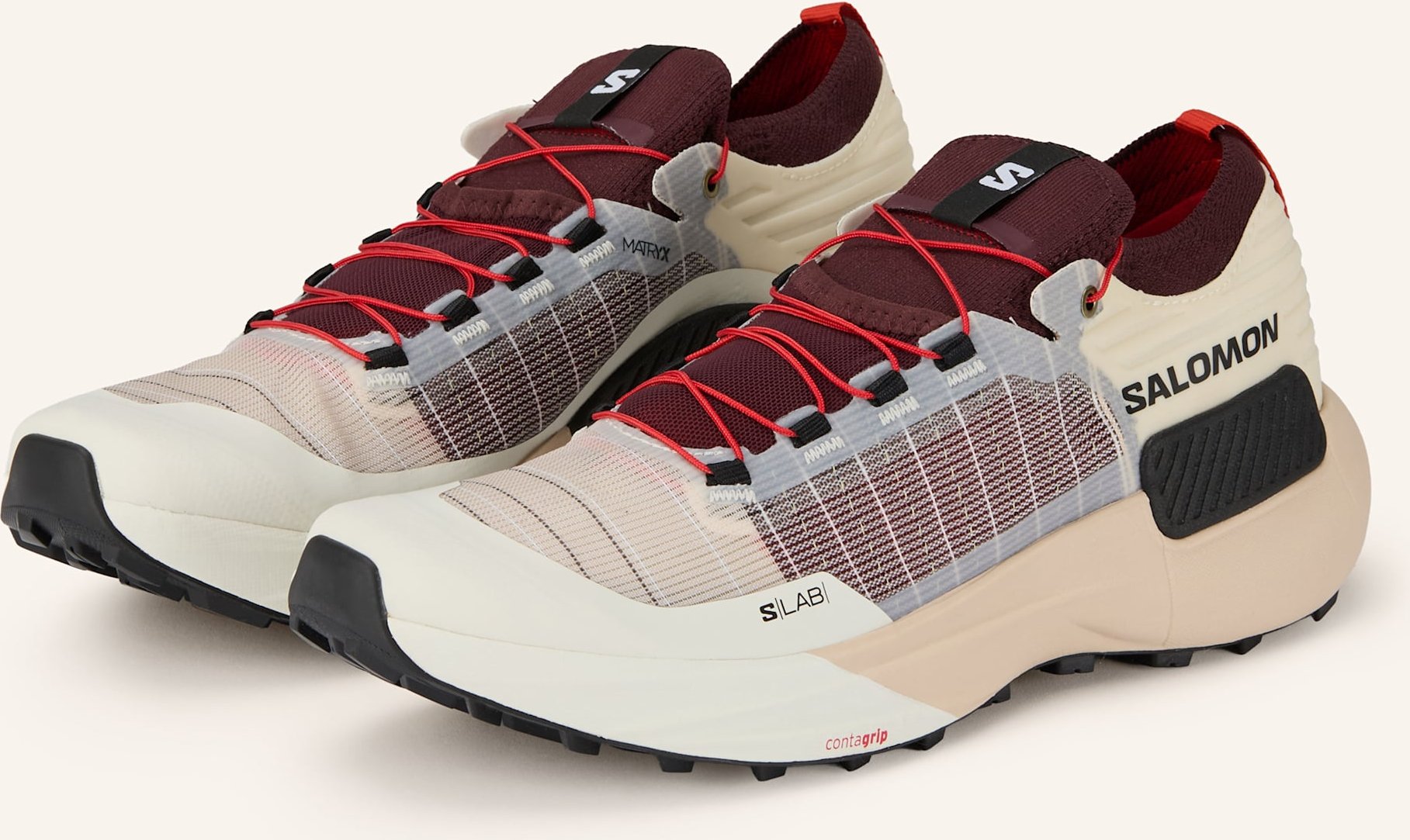 Salomon Trailrunning-Schuhe Genesis Gtx beige
