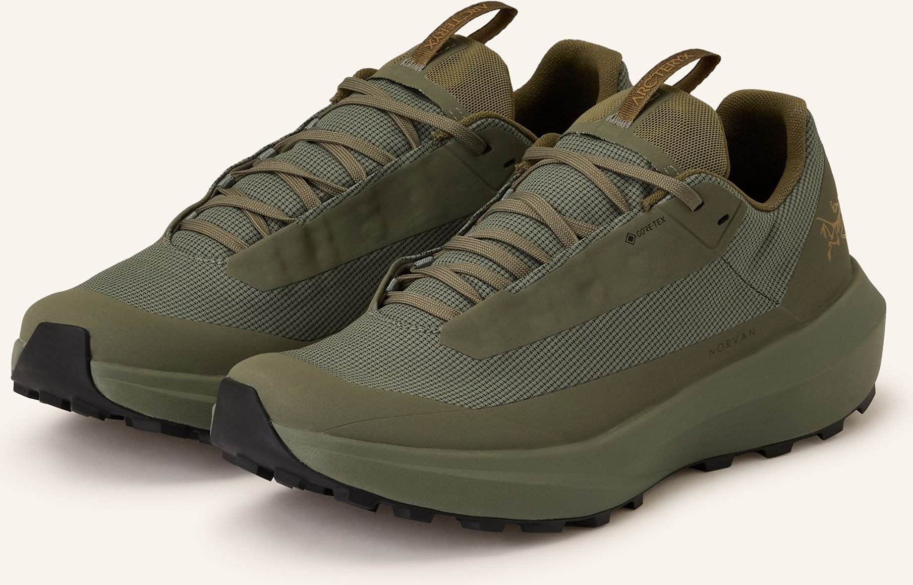 Arc'teryx Trailrunning-Schuhe Norvan Ld 4 Gtx gruen