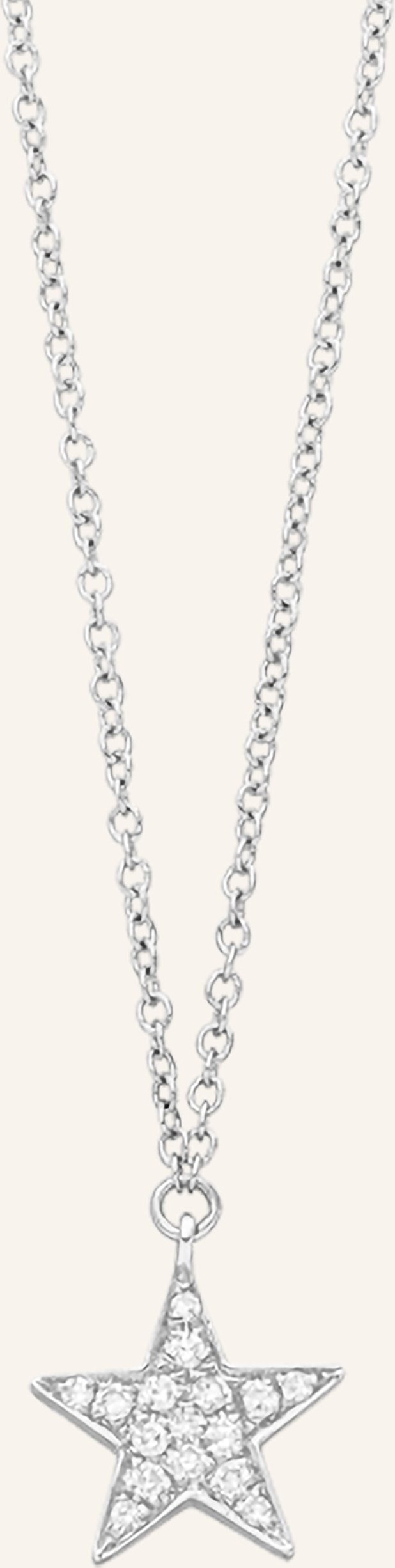 Leaf Halskette Stern Aus 18 Karat Weißgold Mit Diamanten silber