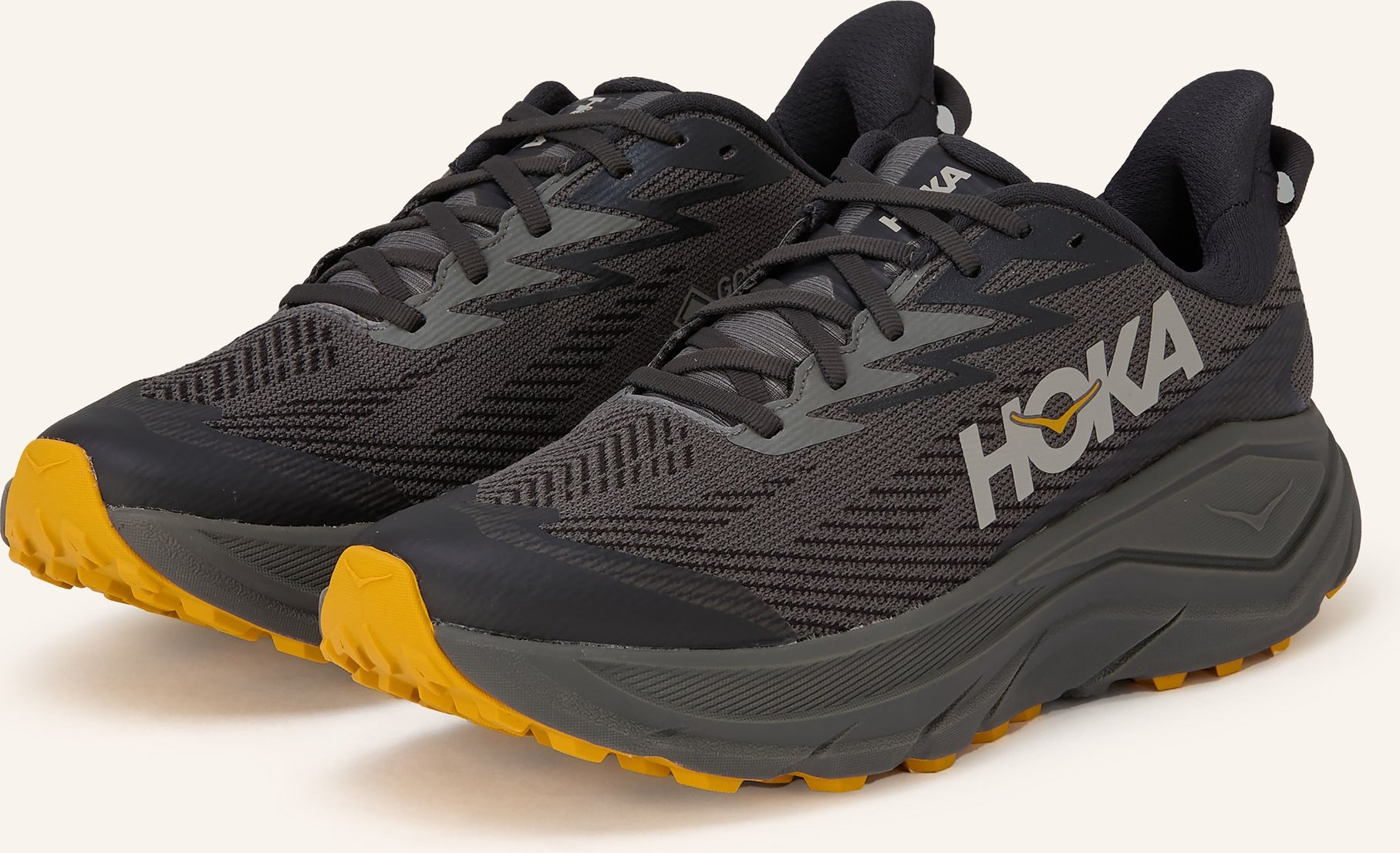 Hoka Trailrunning-Schuhe Challenger 8 Gtx grau