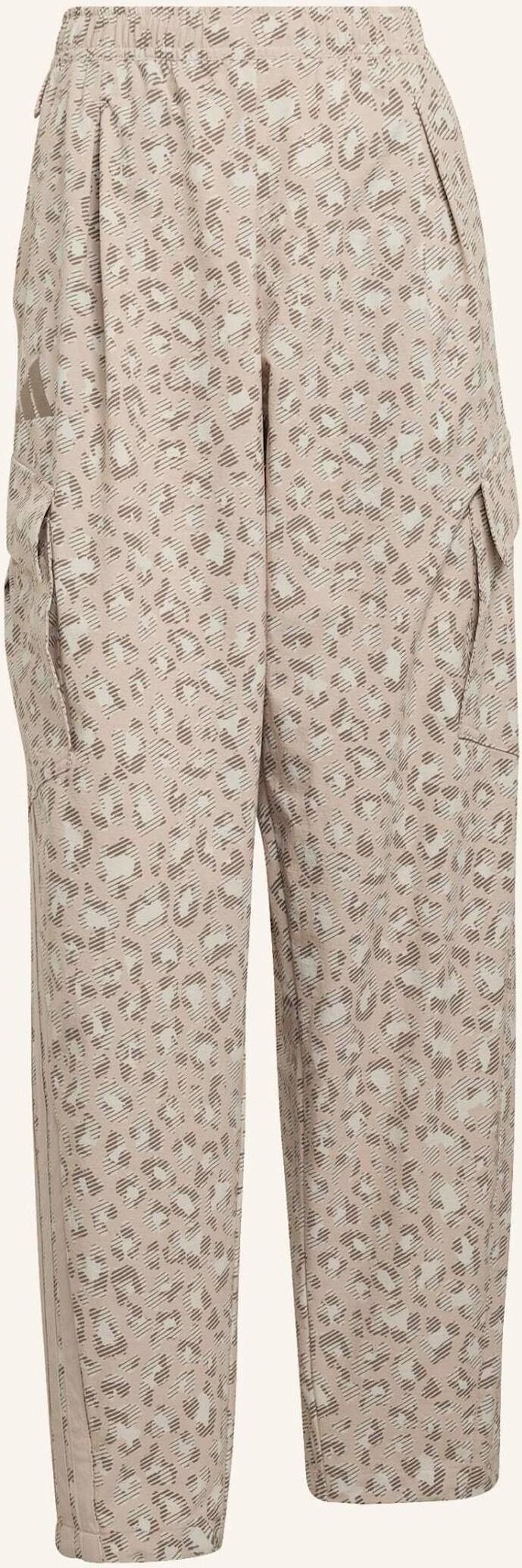 Adidas Terrex Terrex Xploric clima365 Cargohose beige