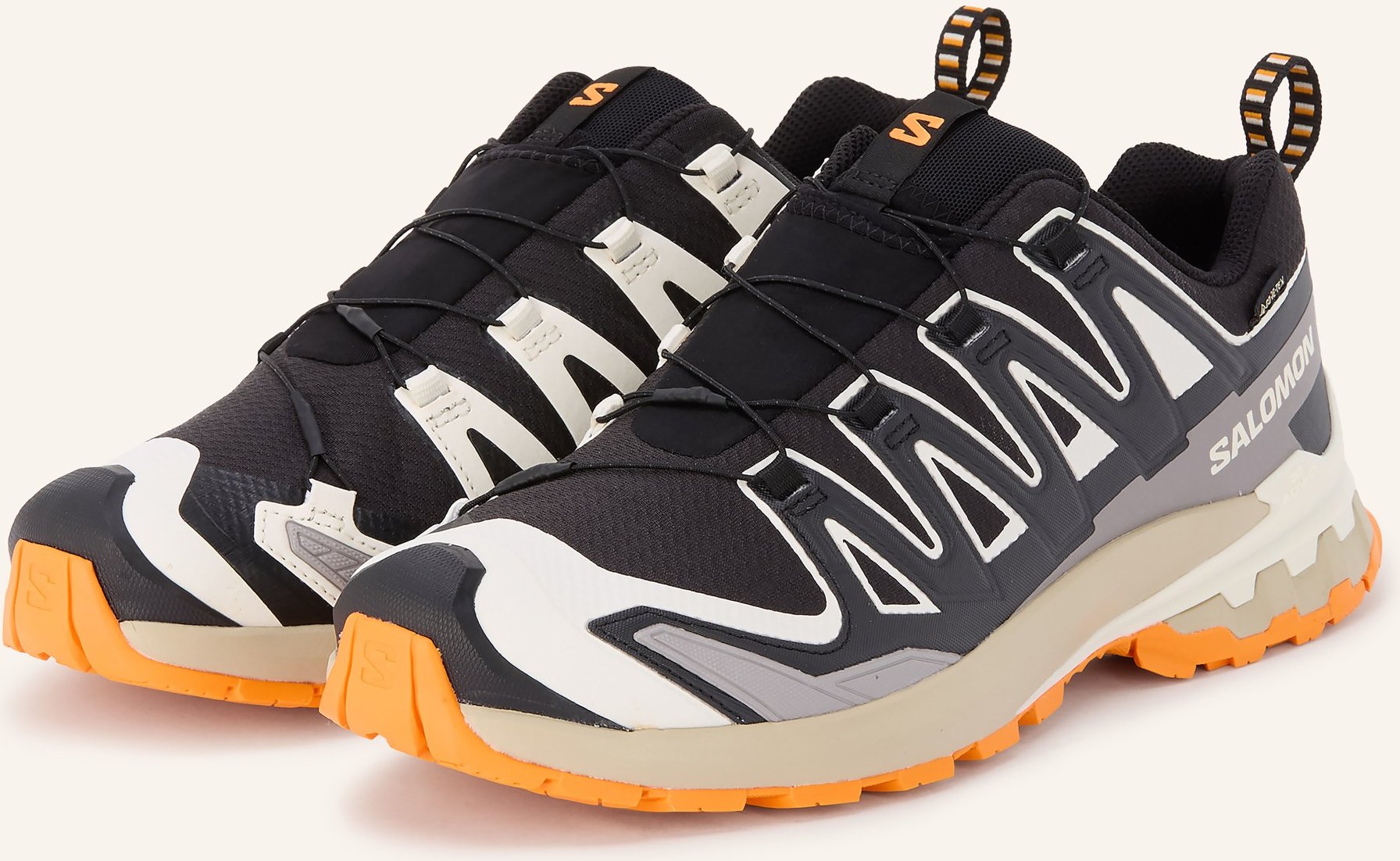 Salomon Wanderschuhe Xa Pro 3d v9 Gtx schwarz