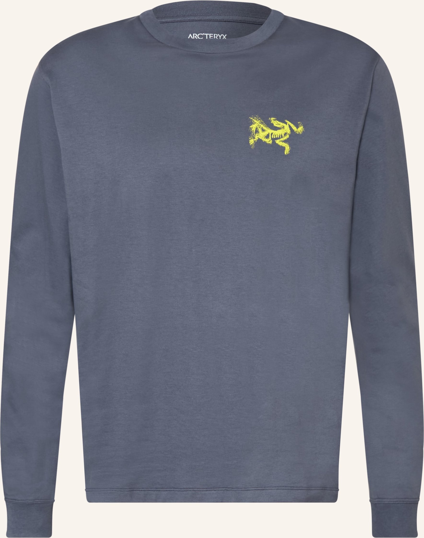 Arc'teryx Pullover Kragg grau