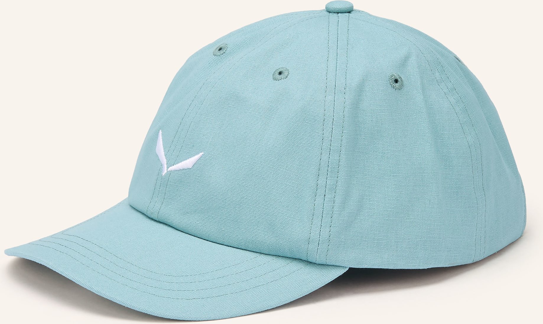 Salewa Cap Eagle Logo blau