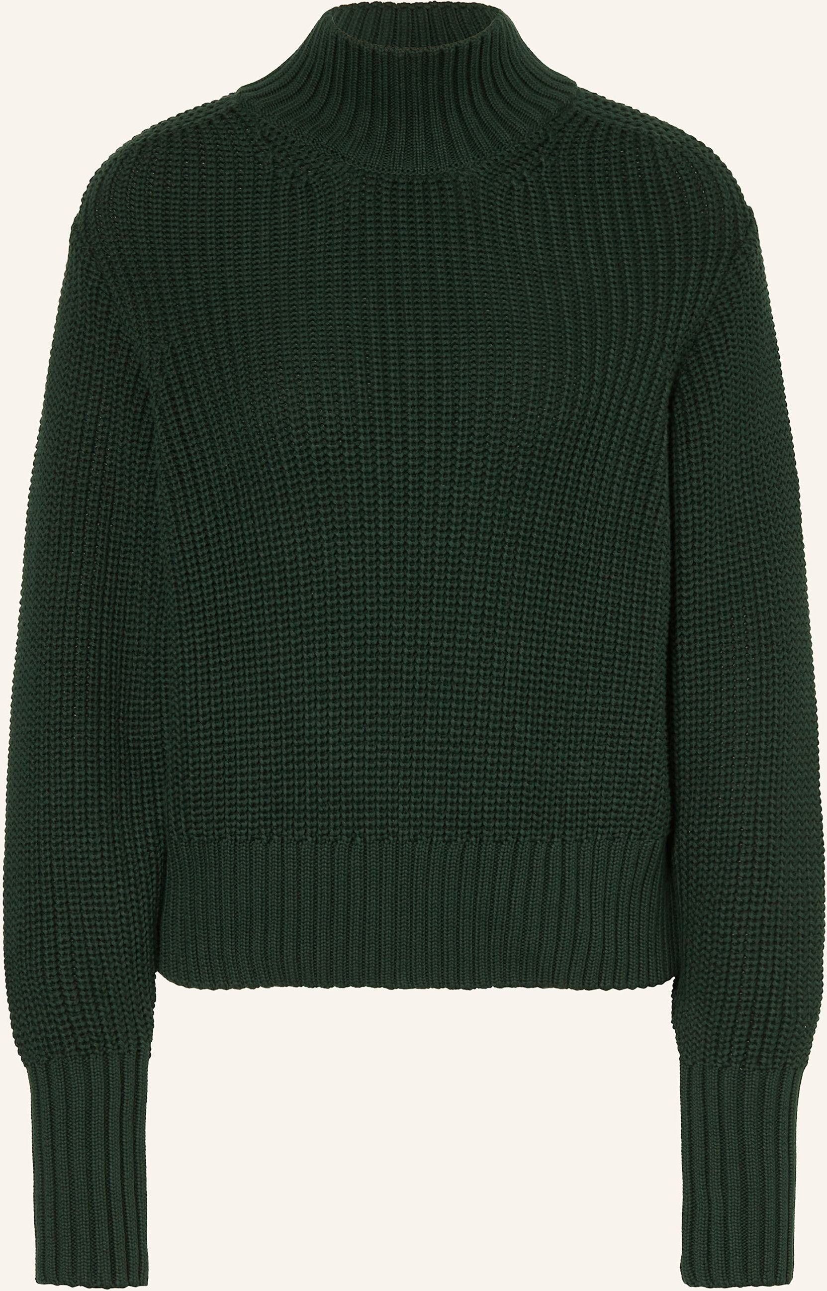 Lanius Pullover gruen