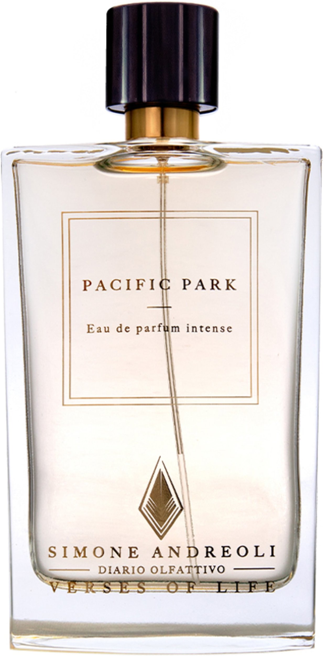 Simone Andreoli Pacific Park Eau de Parfum Intense 100 ml