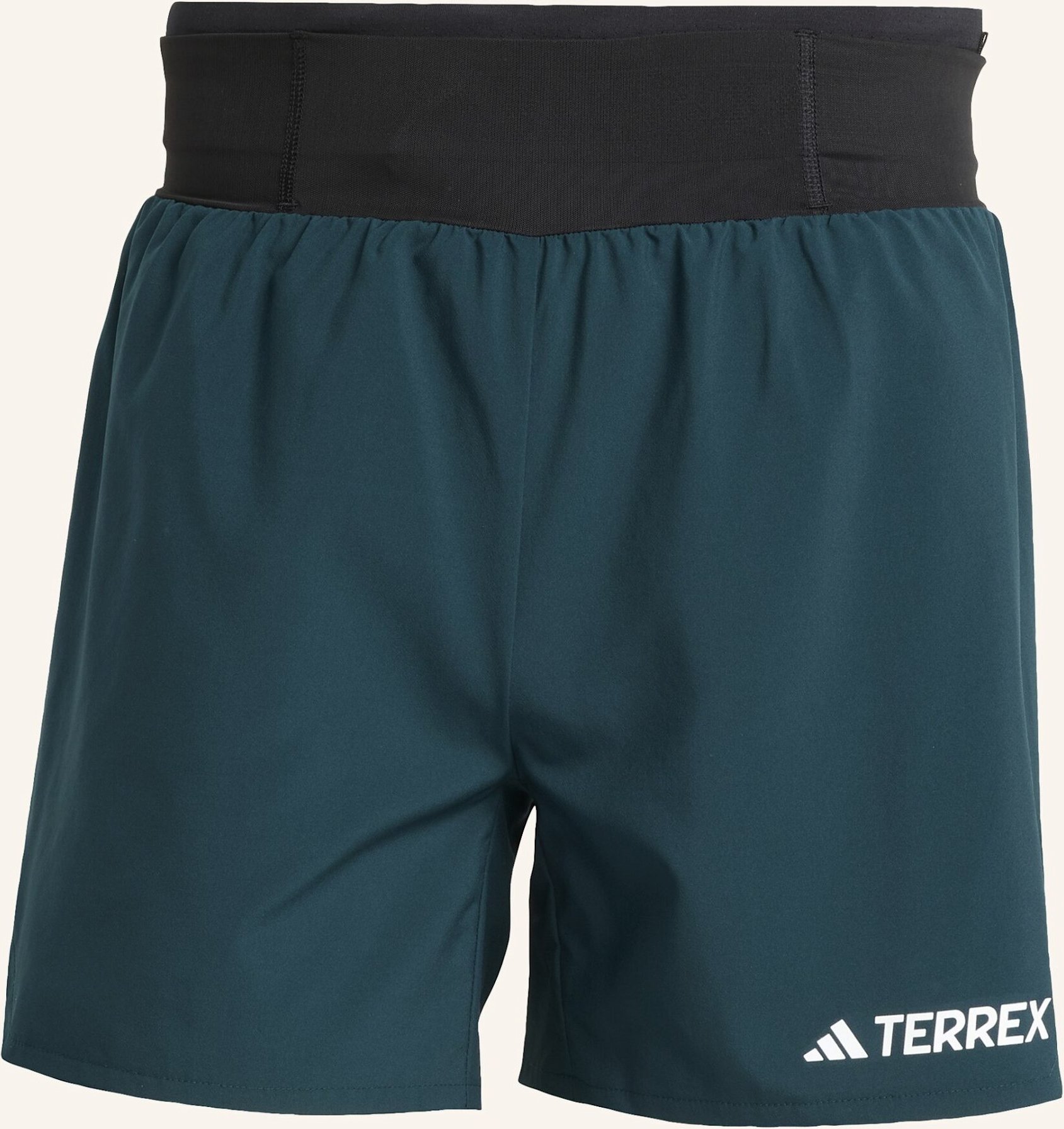 Adidas Terrex Trekking-Shorts Xperior gruen