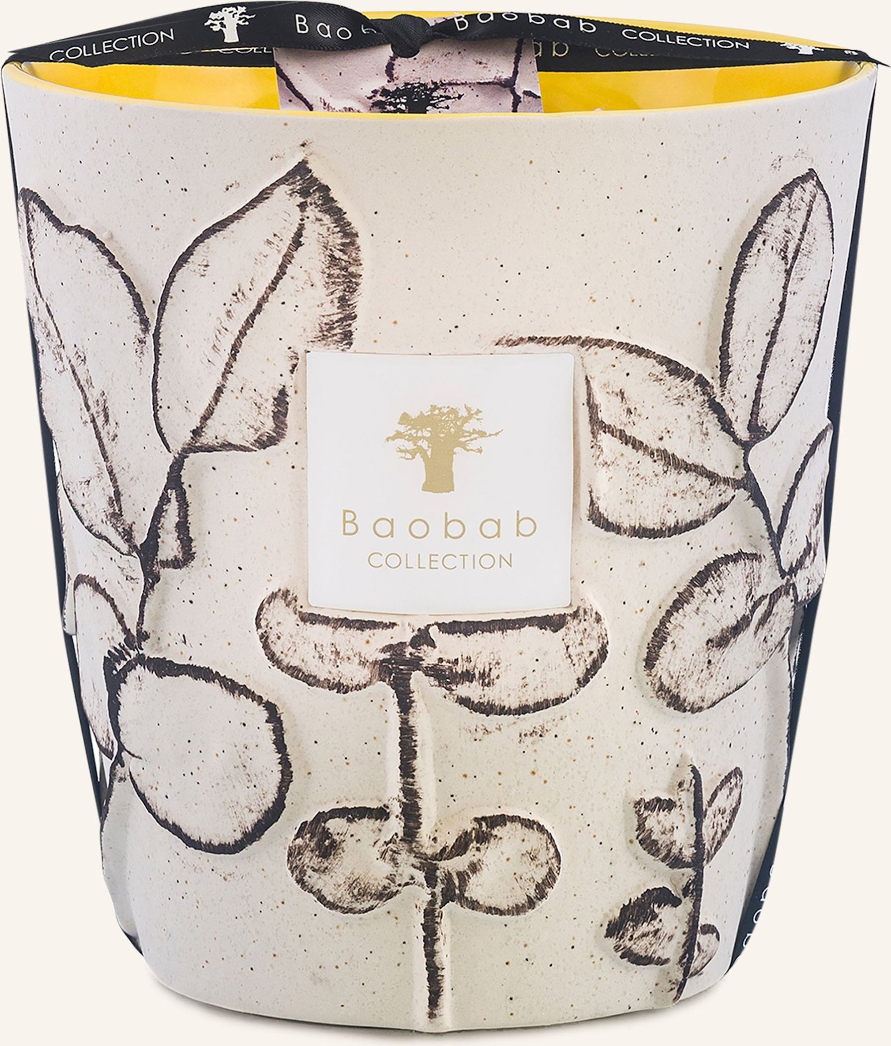Baobab Collection Duftkerze Folia Calanque weiss