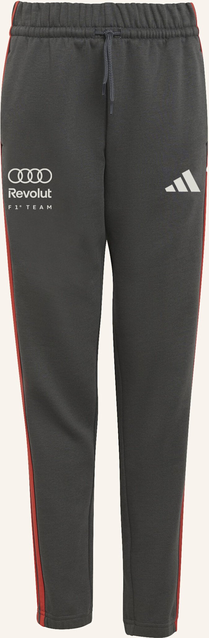 Adidas Audi Revolut f1 Team Dna Hose schwarz