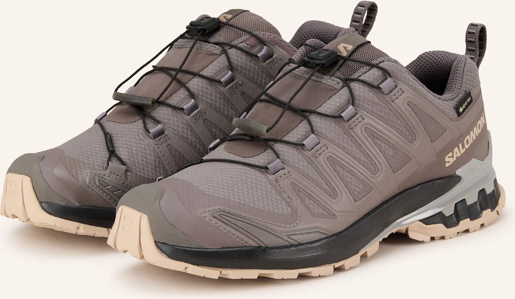 Salomon Wanderschuhe Xa Pro 3d v9 Gtx grau