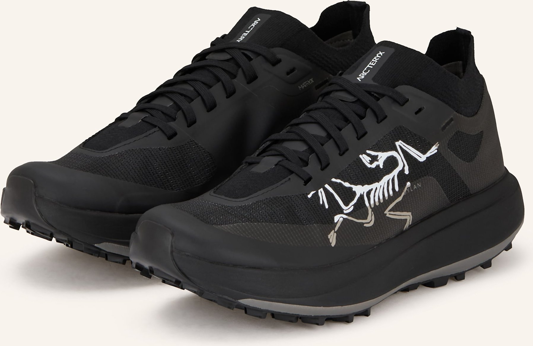 Thumbnail - Arc'teryx Trailrunning-Schuhe Sylan Pro schwarz