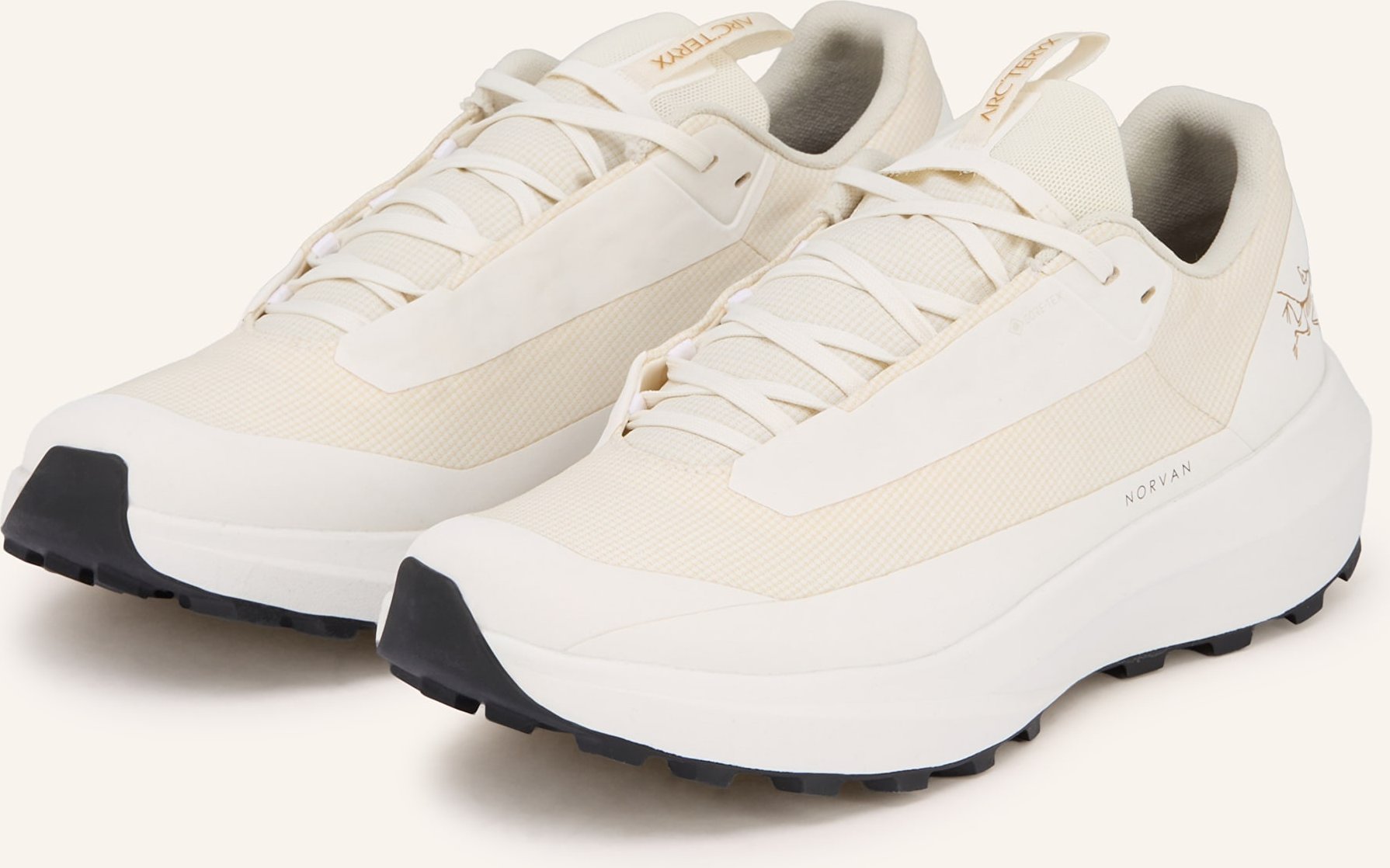Arc'teryx Trailrunning-Schuhe Norvan Ld 4 Gtx weiss