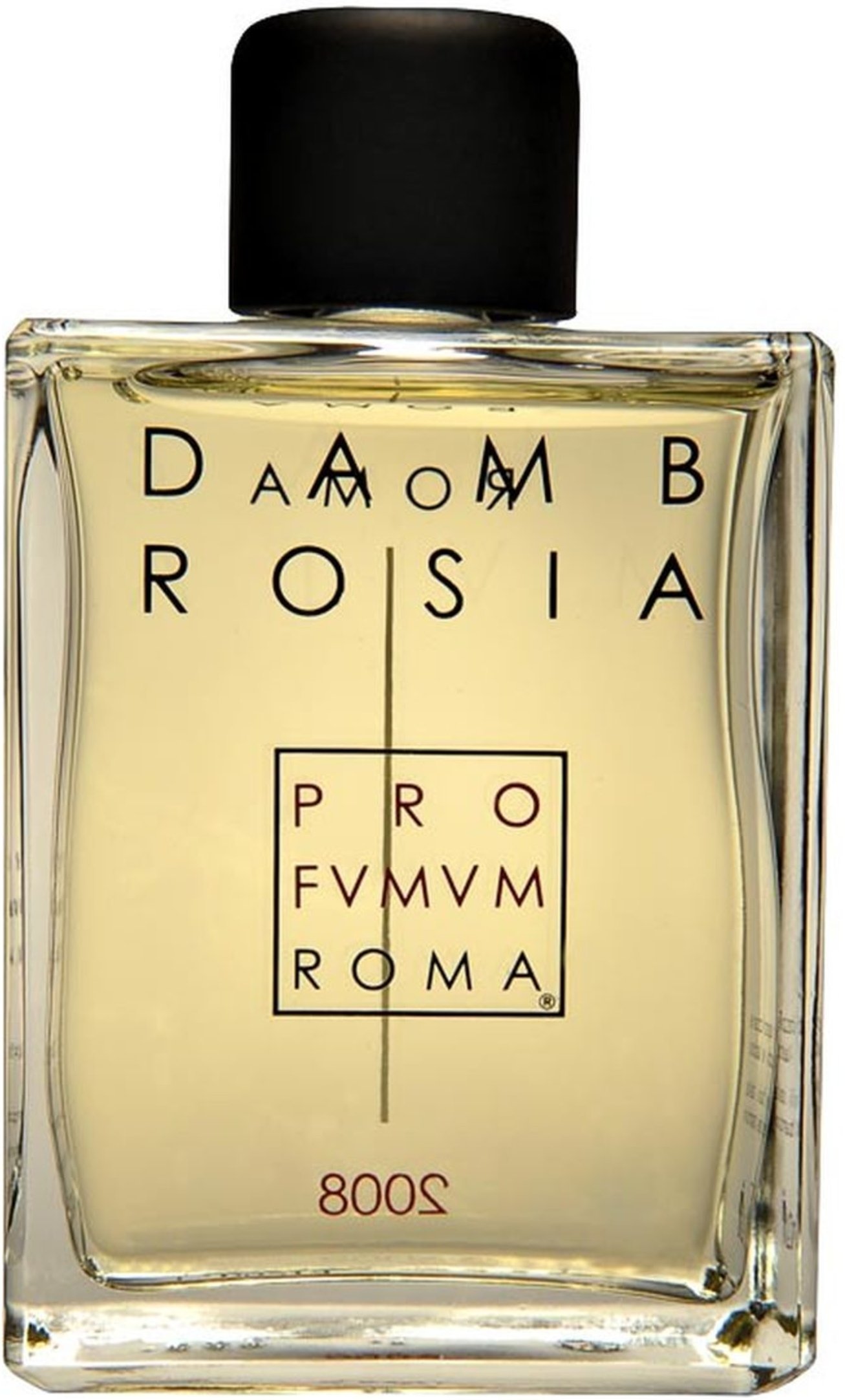 Profvmvm Roma Dambrosia Eau de Parfum 100 ml
