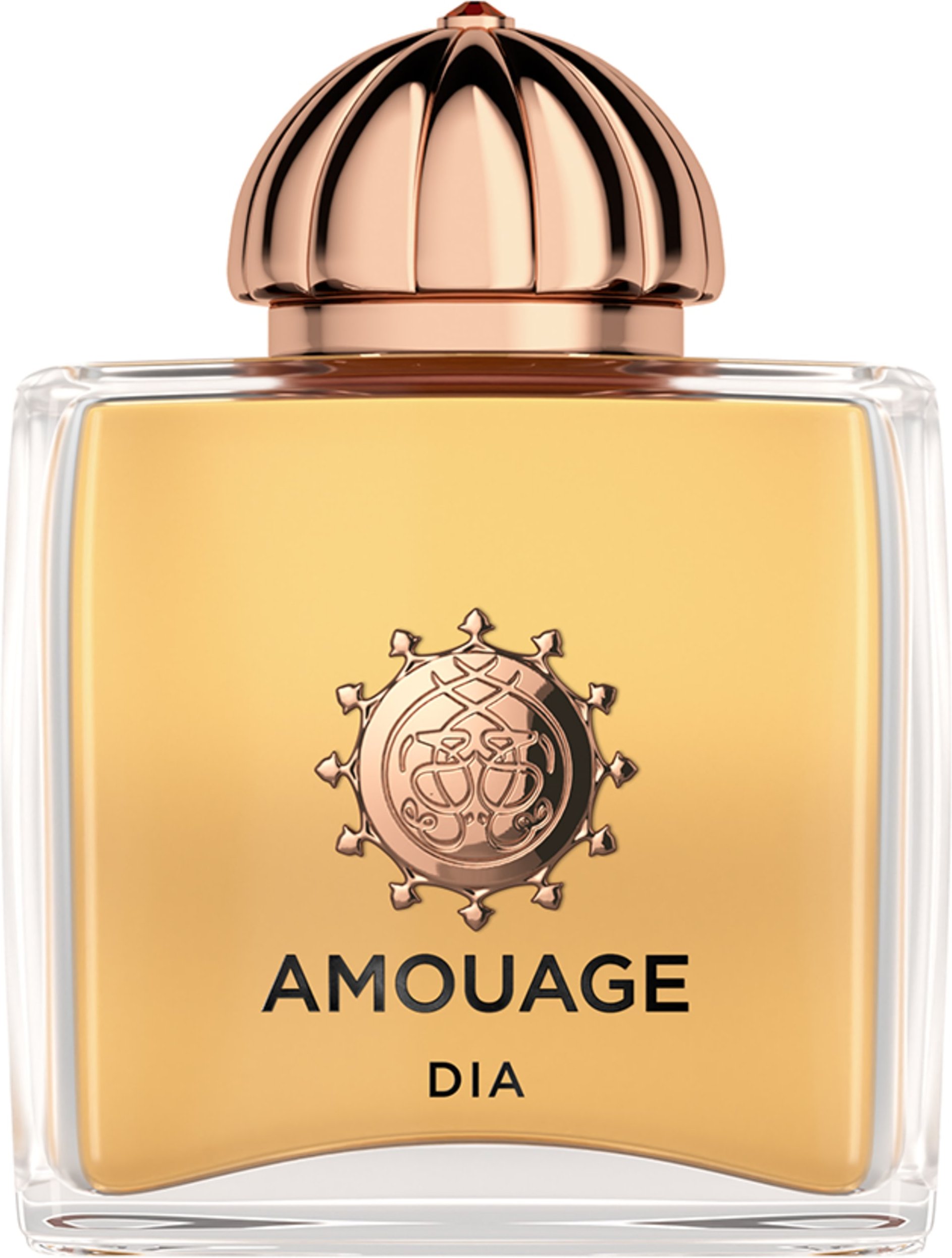 Amouage Dia Woman Eau de Parfum 100 ml