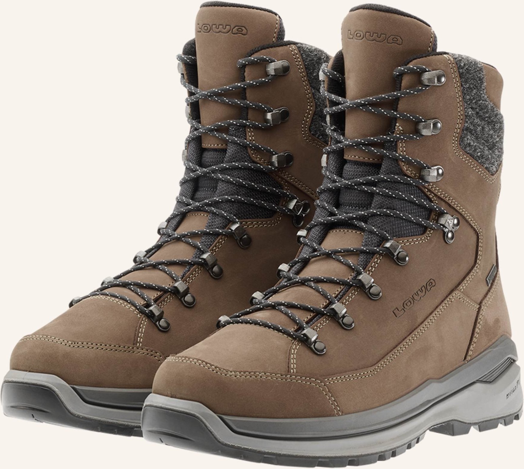 Lowa Outdoor-Schuhe Renegade Evo Ice 2 Gtx beige
