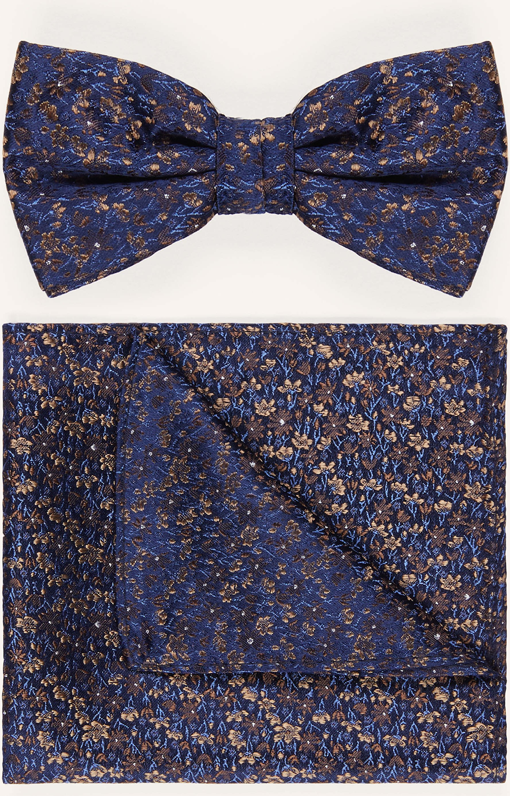 Paul Set: Fliege Und Einstecktuch blau