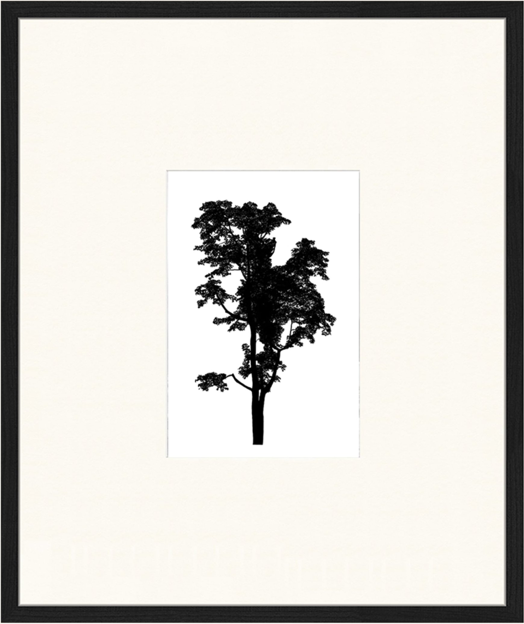 Jacob Baden Wandbild Lichtfänger Mit Rahmen schwarz