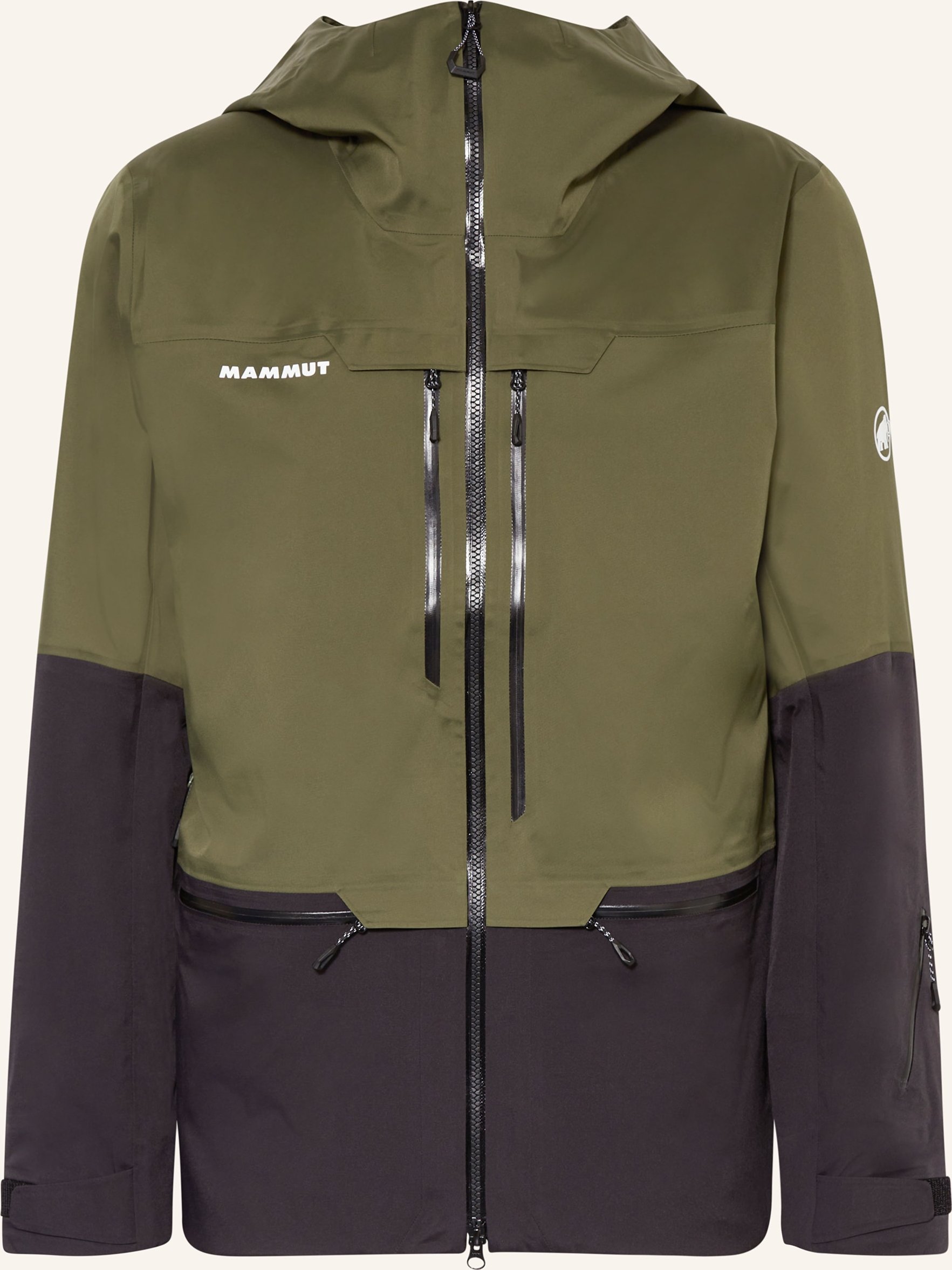 Mammut Hardshell-Skijacke Haldigrat gruen