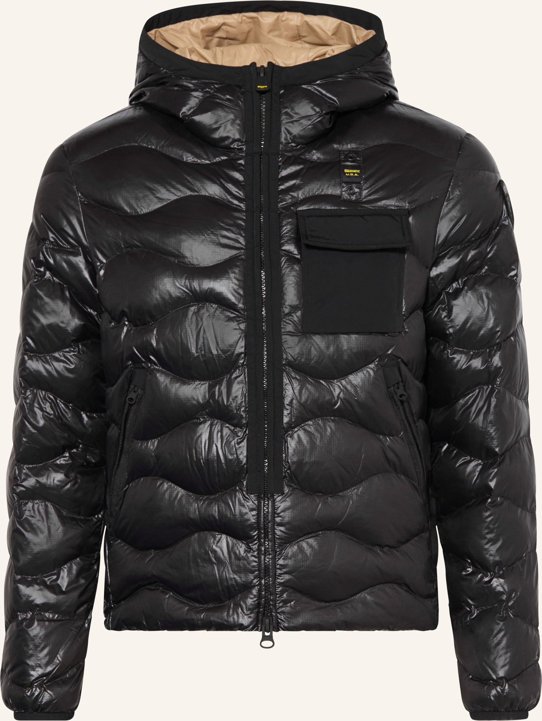 Blauer Steppjacke Bryant schwarz