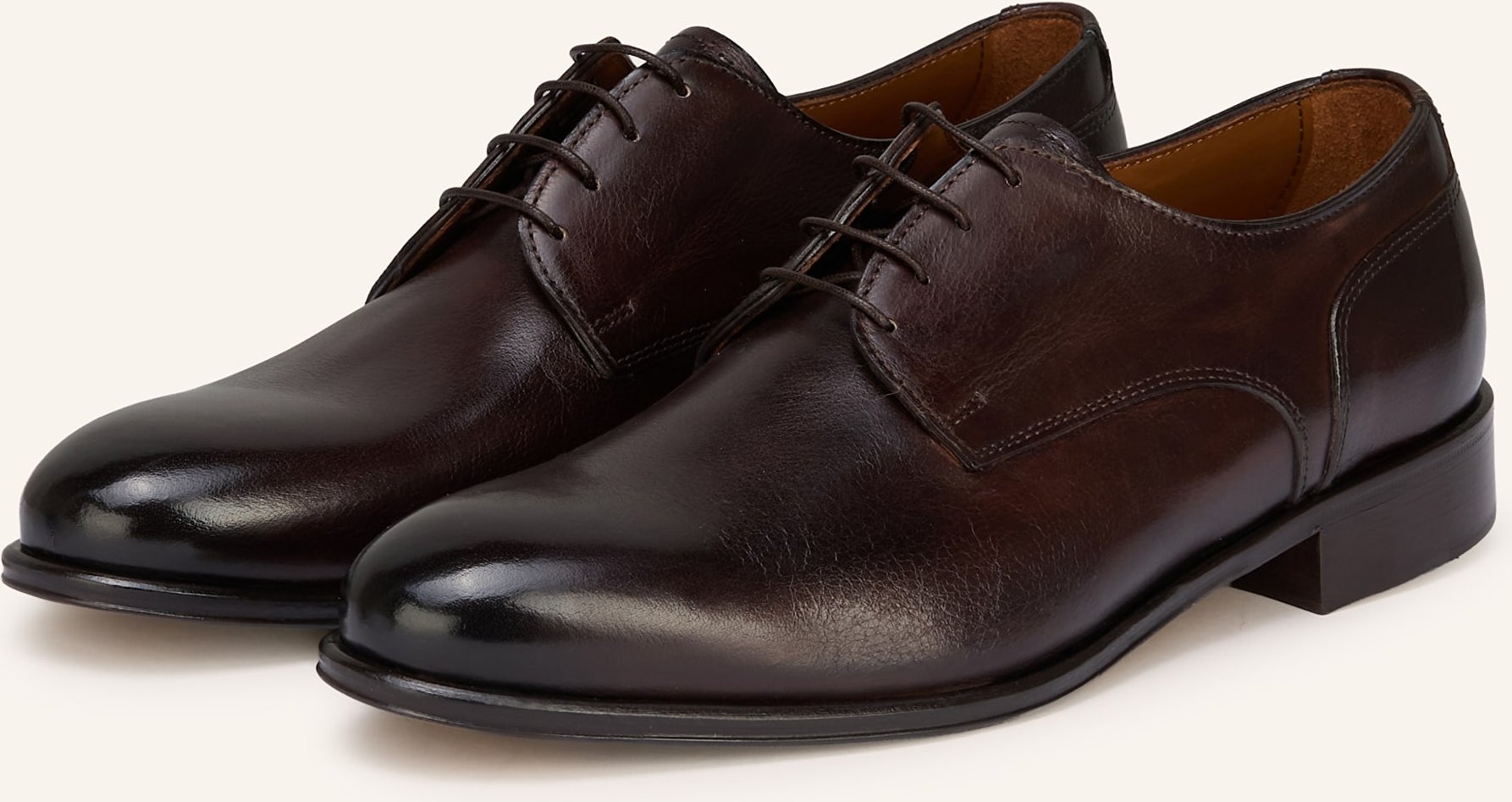 Paul Schnürer braun