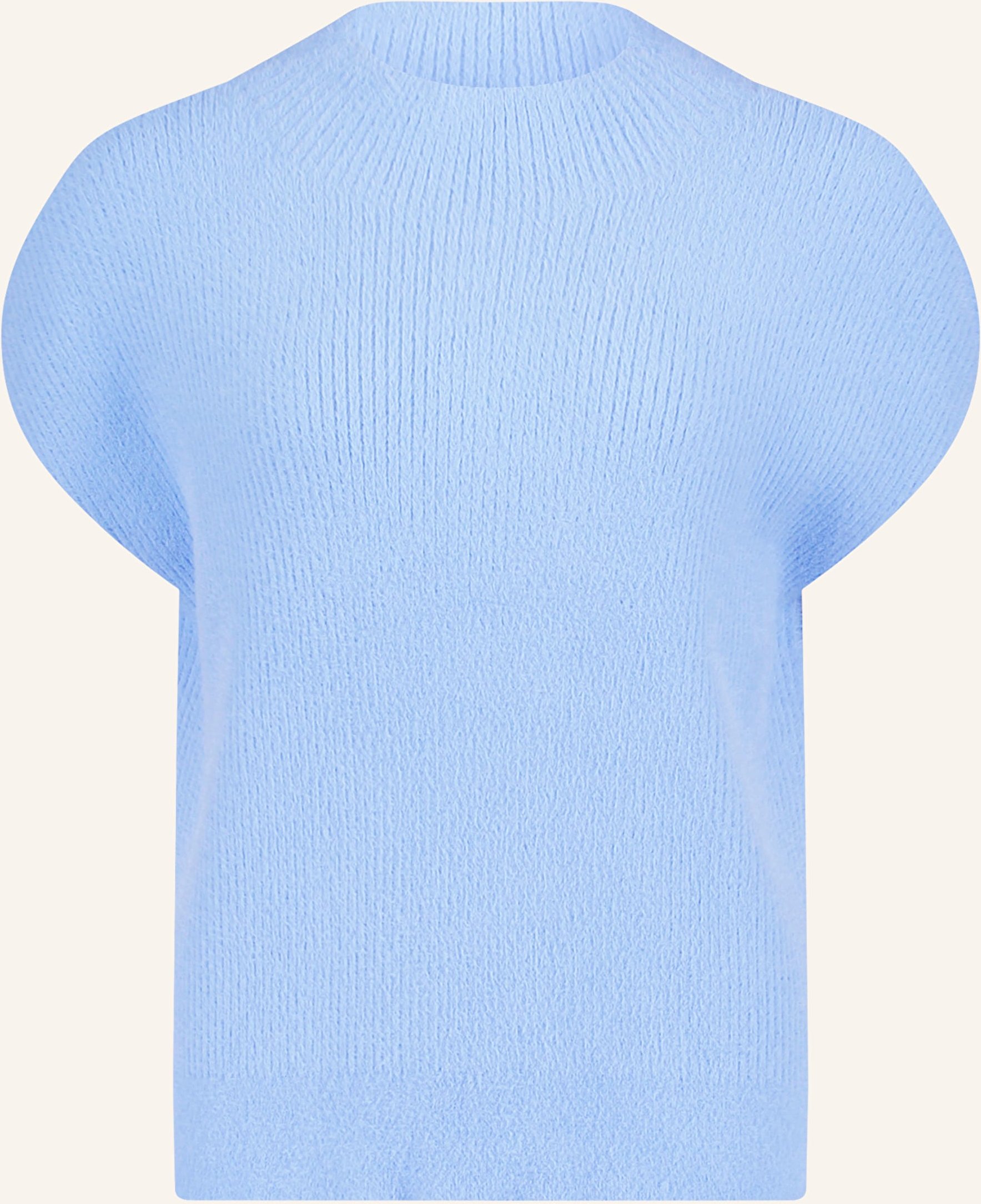 Cartoon Pullunder blau