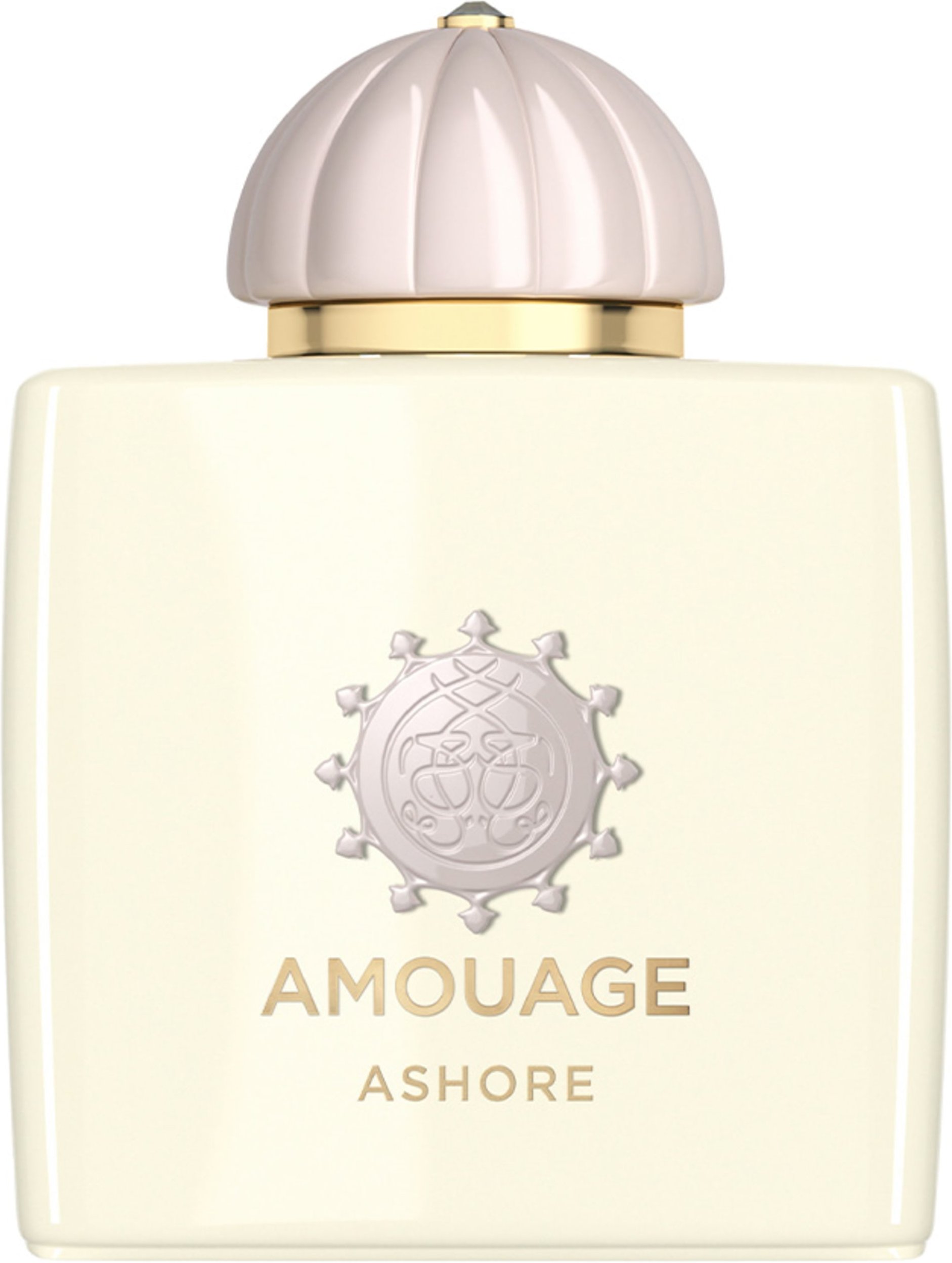 Amouage Ashore Eau de Parfum 100 ml