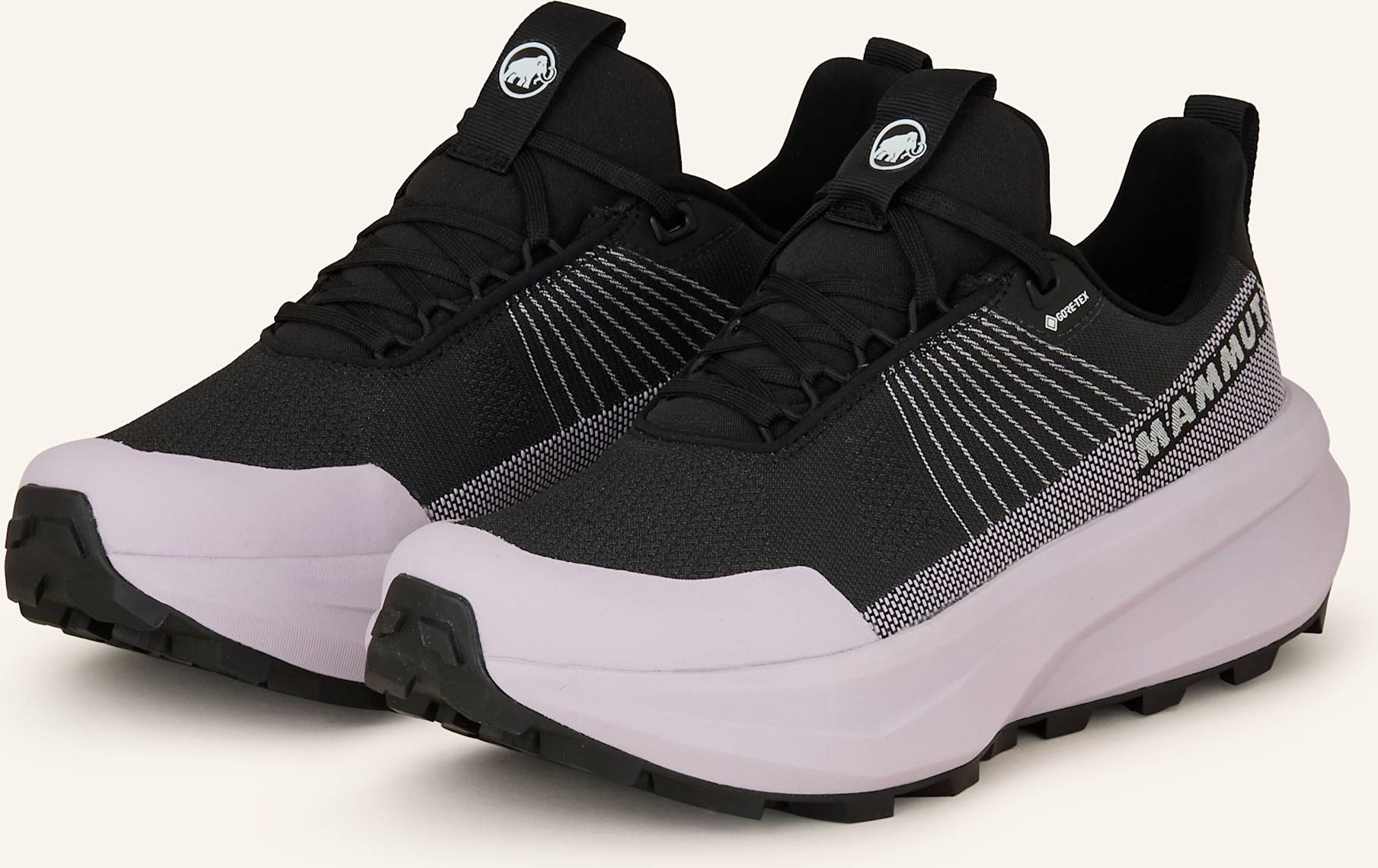 Mammut Wanderschuhe Aenergy Mtn Low Gtx schwarz