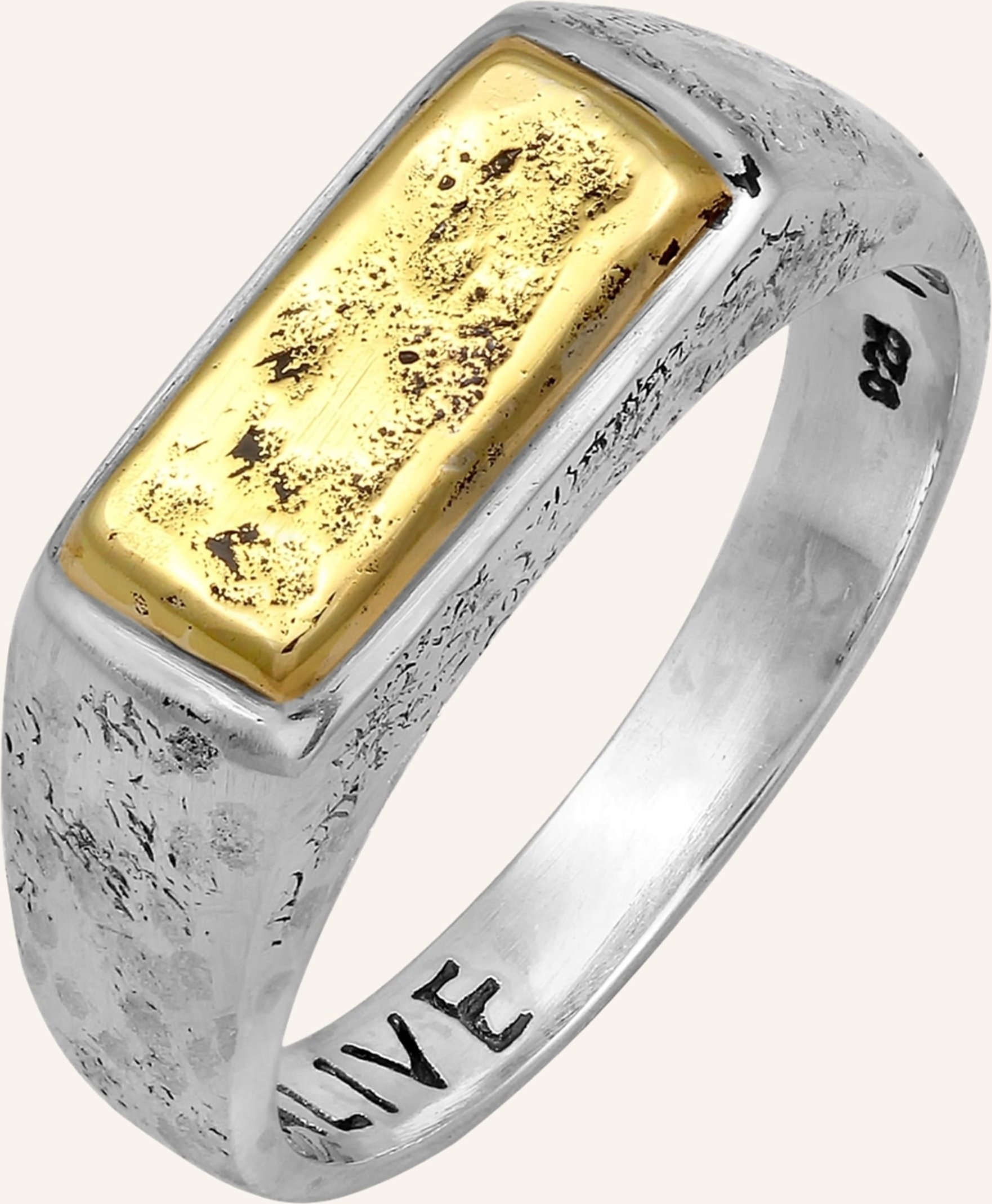 Haze & Glory Ring silber