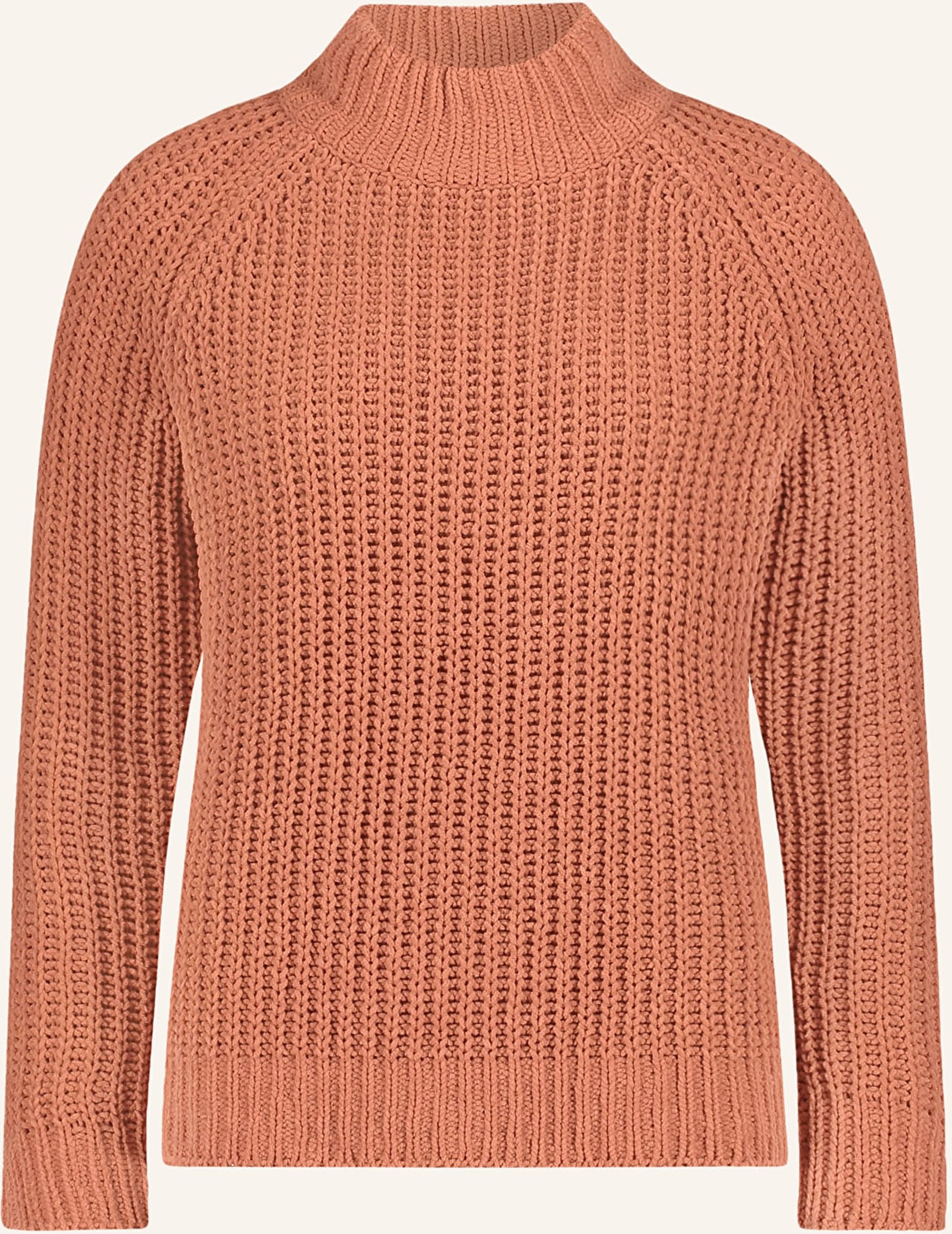 Cartoon Pullover rot