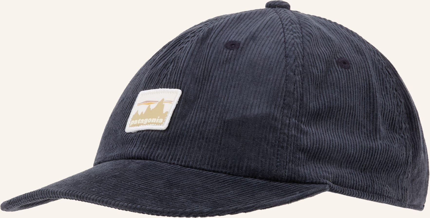 Patagonia Cord-Cap blau