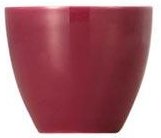 Thomas Sunny Day Fuchsia Eierbecher
