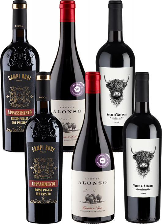 6er-Grillwein Paket - Weinpakete