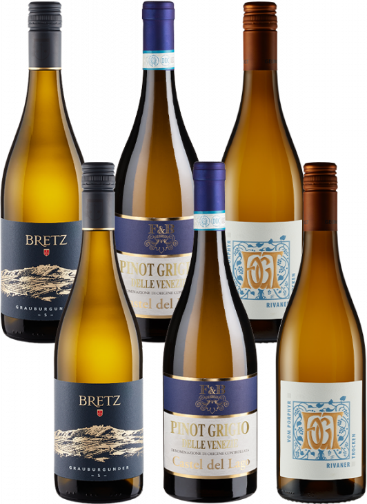 6er-Paket trockene Weißweine - Weinpakete
