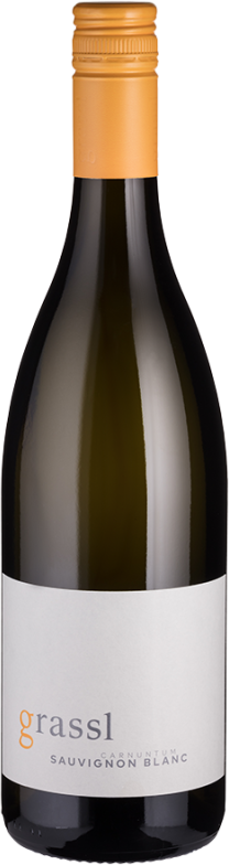 Sauvignon Blanc Bio (2023) - Grassl - Weißwein aus dem Carnuntum, Österreich