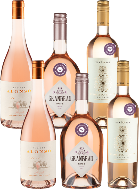 6er-Paket Rosé Selektion - Weinpakete