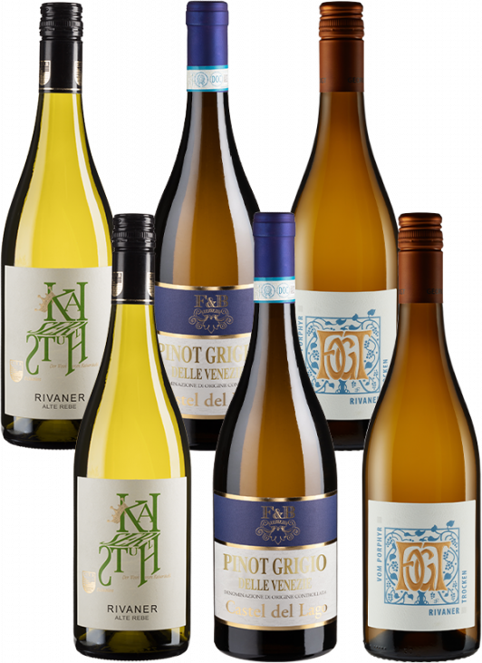 6er-Paket Spargelwein-Empfehlungen - Weinpakete