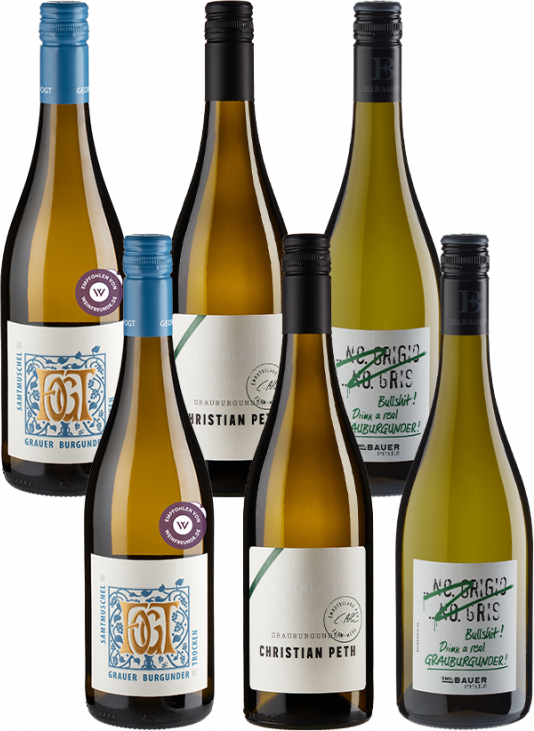 6er Paket Grauburgunder Favoriten inkl. Emil Bauer Grauburgunder - Weinpakete