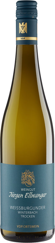 Winterbach Weißburgunder trocken (2024) - Weingut Ellwanger - Weißwein aus Württemberg, Deutschland