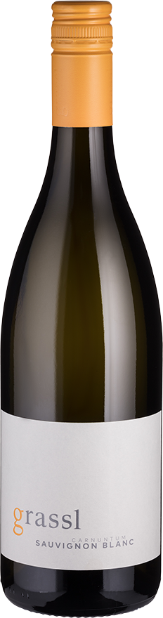 Sauvignon Blanc Bio (2024) - Grassl - Weißwein aus dem Carnuntum, Österreich