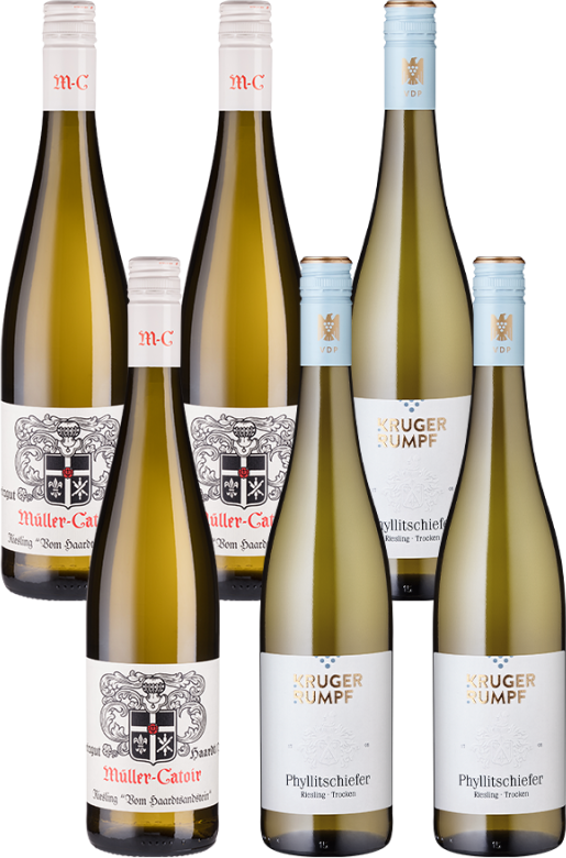 6er-Paket VDP-Riesling - Weinpakete aus Deutschland