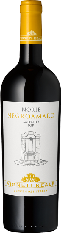 Norie Negroamaro del Salento (2021) - Vigneti Reale - Rotwein aus Apulien, Italien